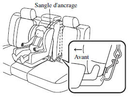 Position de la sangle d'ancrage