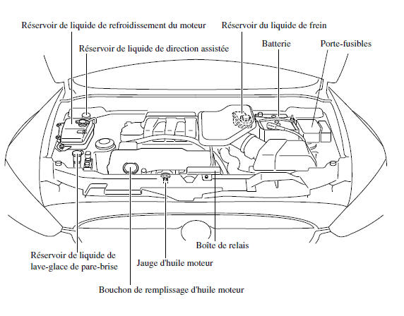 Vue générale du compartiment moteur 