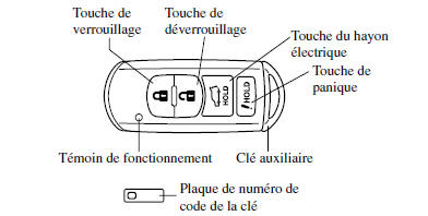 Avec touche du hayon électrique