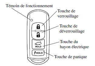 avec hayon électrique