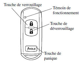 sans hayon électrique