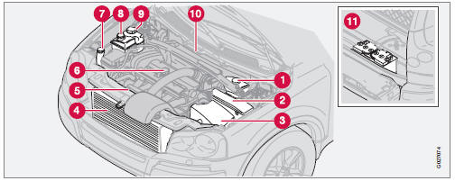 Compartiment moteur