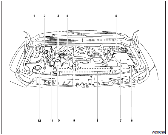 Points de vérification dans le compartiment moteur