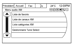 Siriusxm (option)